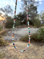 Multi Color Beaded Necklace